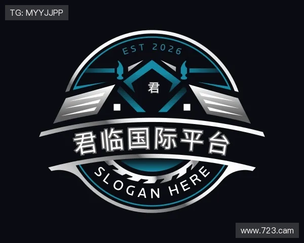 导引君临国际平台